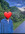 Эскорт услуги❤️