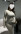 Lina body